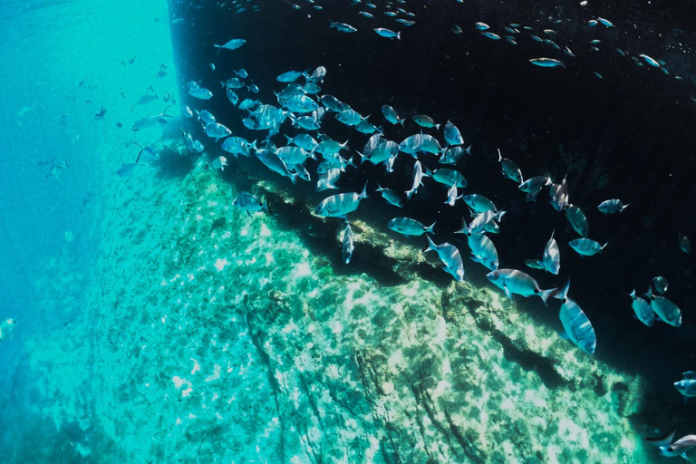 Vila Franca do Campo: Snorkeling & Boat Tour at the Islet