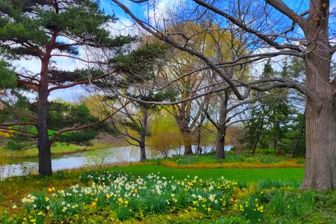 Chicago Suburbs Tour- The Hidden Gems