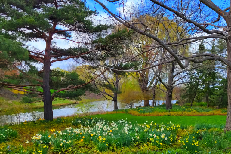 Chicago Suburbs Tour- The Hidden Gems