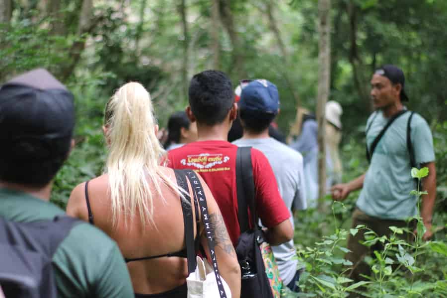 Dschungel-Trekking im Nationalpark West-Bali. Foto: GetYourGuide
