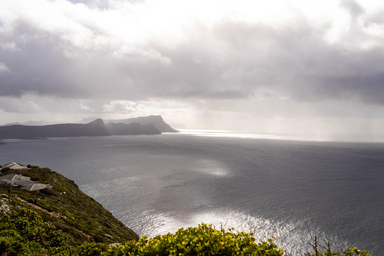 Kaap Schiereiland: Hele dag privé tour