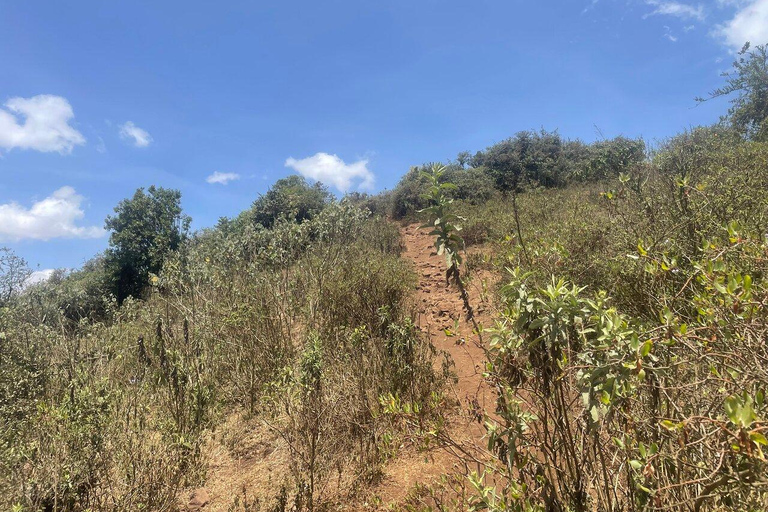 نيروبي: جولة مشي طويلة في تلال نغونغ مع مغامرة الانزلاق بالحبلNairobi: Ngong Hills Guided Hike with Zipline Adventure