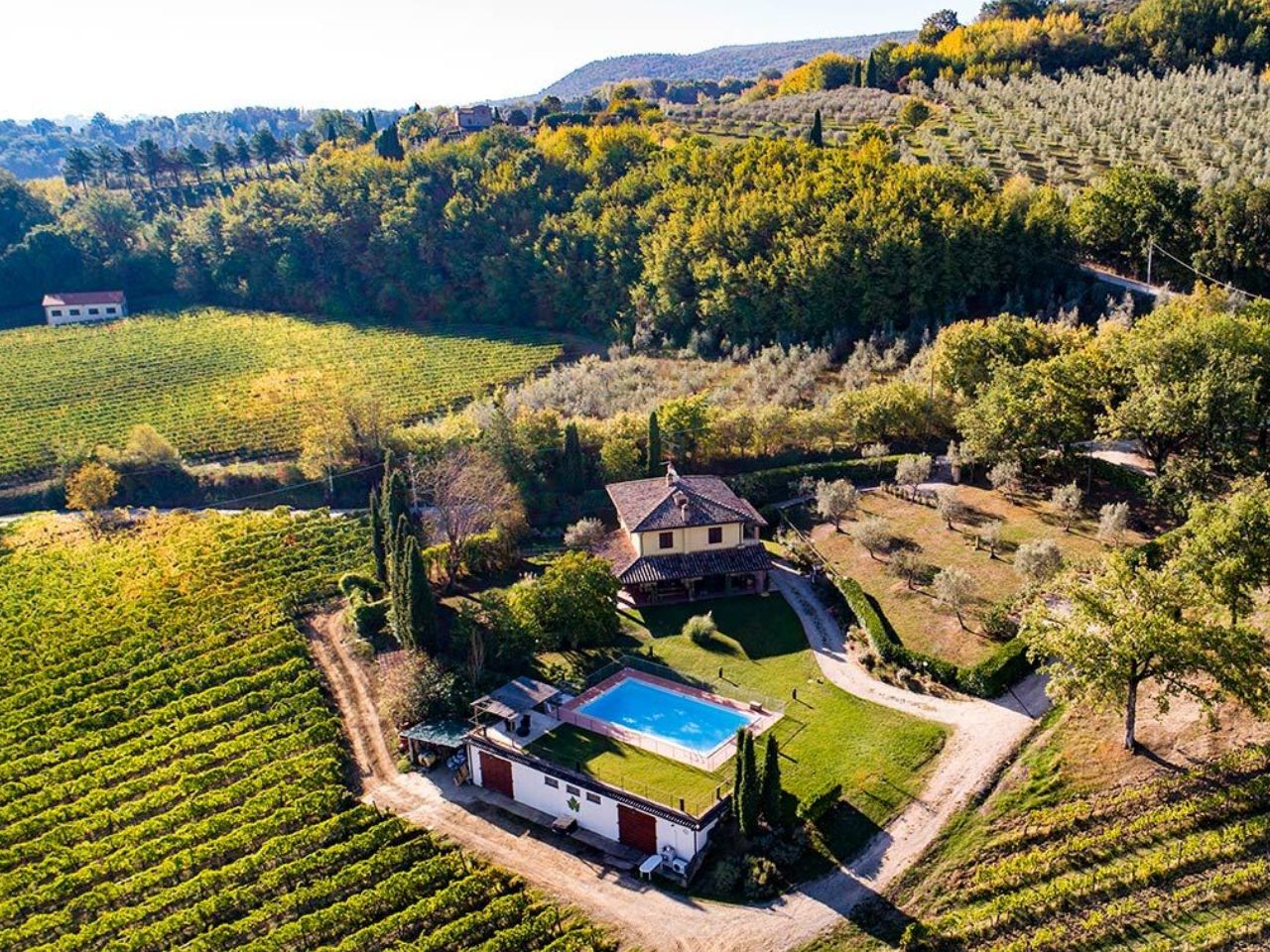 Montepulciano: Bio-Weingut-Tour & Weinprobe