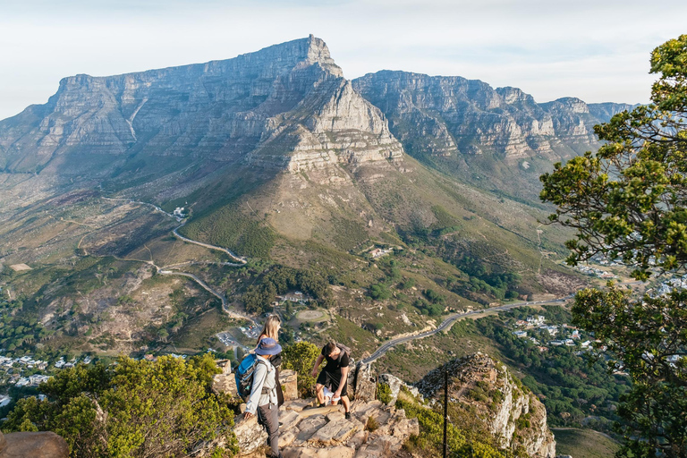 Cape Town: Lion's Head Sunrise or Sunset Hike