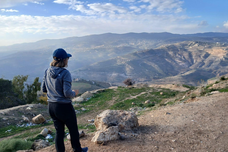 Amman: Dead Sea, Lot's Wife, & Blue Mosque Tour with Lunch Dead Sea only