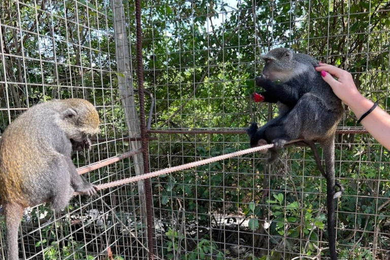 Zanzibar: Swim with Turtles at Baraka Aquarium and Zoo Park
