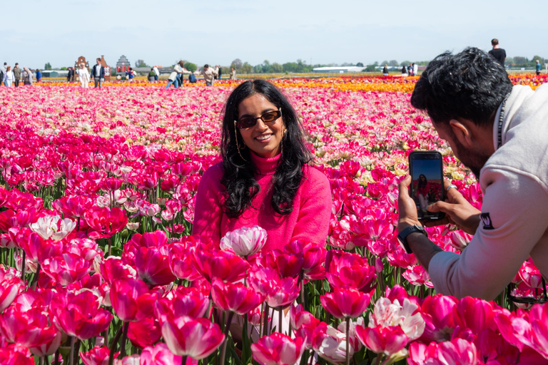 Tulip Experience and Tulip Fields Tour from Amsterdam