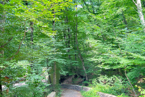 3D Vororte von Baku, Quba, Shahdagh &amp; Gabala Waldberge