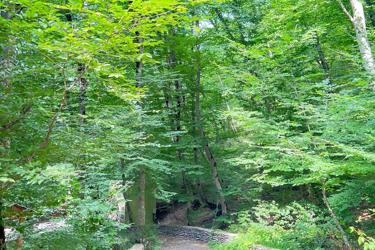 3D Vororte von Baku, Quba, Shahdagh &amp; Gabala Waldberge