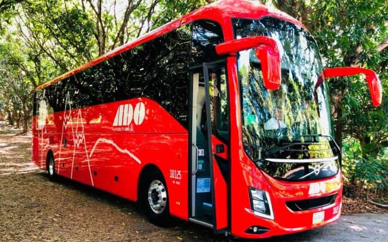 Cancun Airport: Bus transfer from/to Tulum