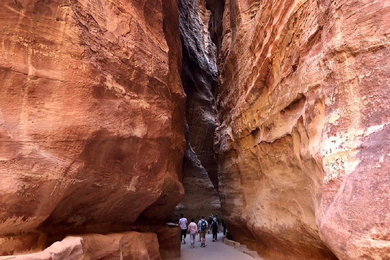 Transfer van het vliegveld of Amman naar Petra per full-size sedanTransfer van het vliegveld of Amman naar Petra per volledige minivan 7pax