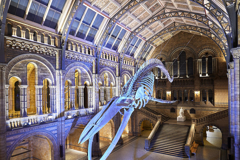 Naturhistoriska museet: Diplodocus, vulkaner, valar och ädelstenar