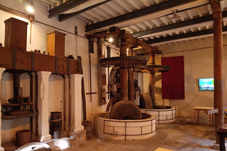 Buti: Olive Oil Ancient Mill Tour and Tasting Experience