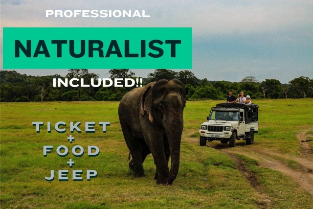 Visit All Inclusive Wilpattu National Park Safari Jeep Tour in Tangalle