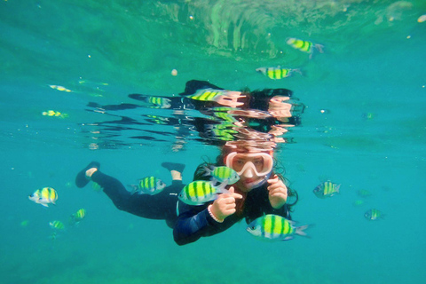 甲米：私人皮皮岛浮潜和观光旅游