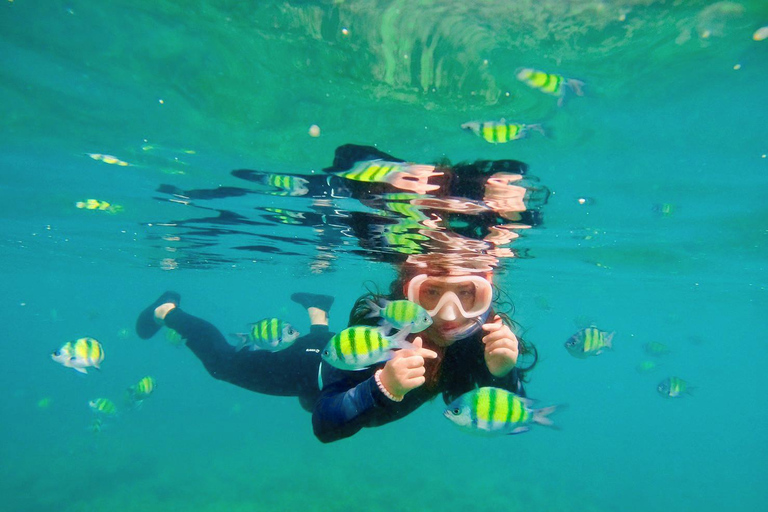 甲米：私人皮皮岛浮潜和观光旅游