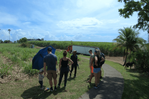 Guadeloupe: Private French Caribbean Rum Tour with Tastings