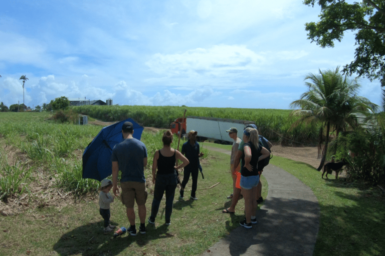 Guadeloupe: Private French Caribbean Rum Tour with Tastings