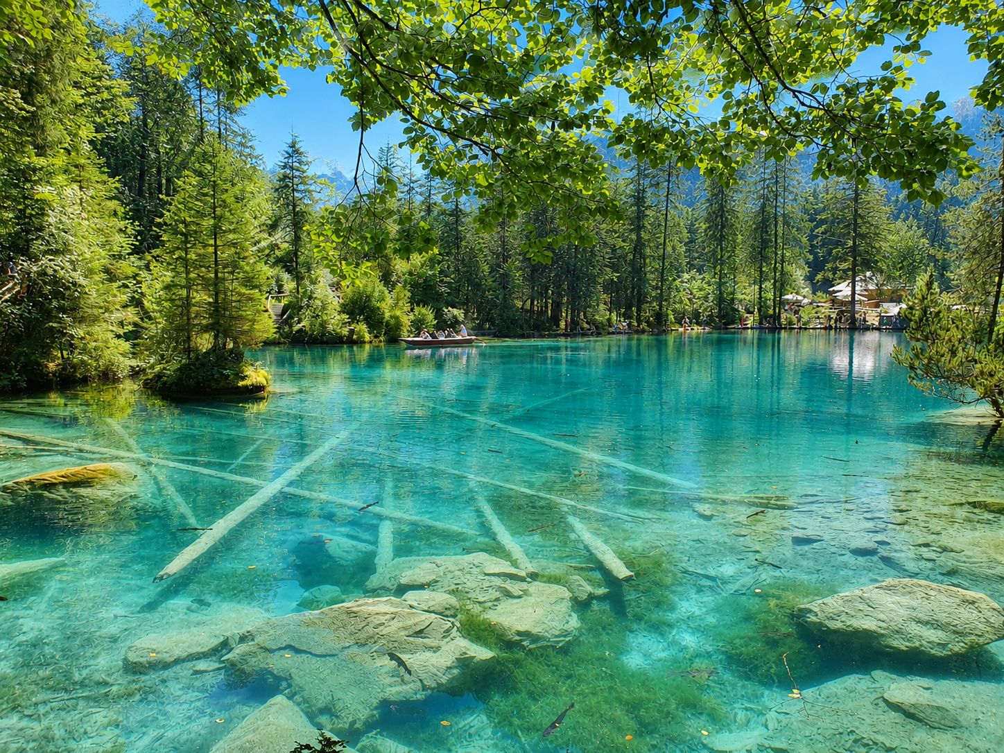 Blausee und Oeschinensee: Private Tagestour mit Stefanos