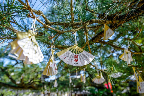 Depuis Osaka : Excursion d'une journée sur la côte de Kyoto, à Amanohashidate et dans la baie d'IneDepuis la sortie 2 de Nipponbashi à 8h30