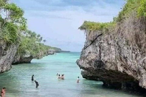 Zanzibar: las Jozani, centrum motyli i wycieczka na plażę MtendeOdbiór z miejsca zakwaterowania nie jest wliczony w cenę.