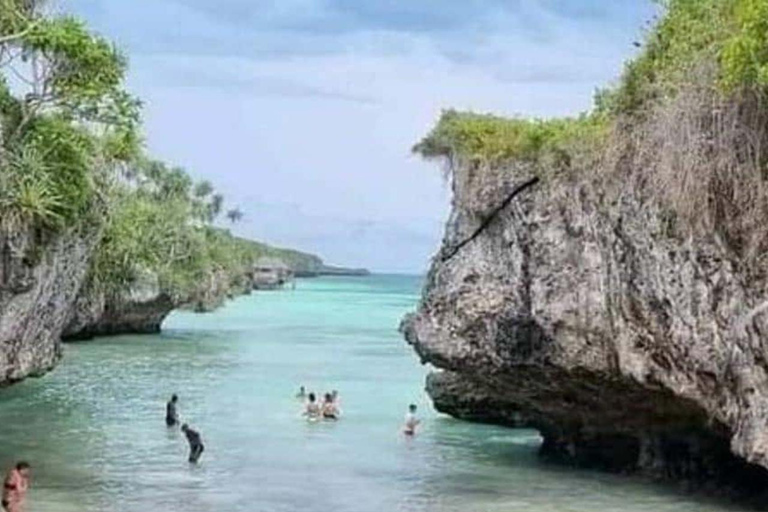 Zanzibar: las Jozani, centrum motyli i wycieczka na plażę MtendeOdbiór z miejsca zakwaterowania nie jest wliczony w cenę.