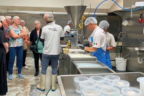 Perth's Sourdough, Pastries & Dairy Essentials Food Tour