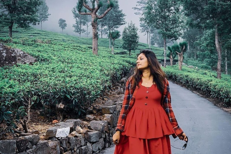 Lipton Seat Legacy: Tuk-Tuk & Train Tea Trails Tour