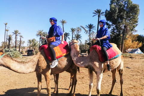 Marrakech: Camel Ride in the Oasis Palmeraie