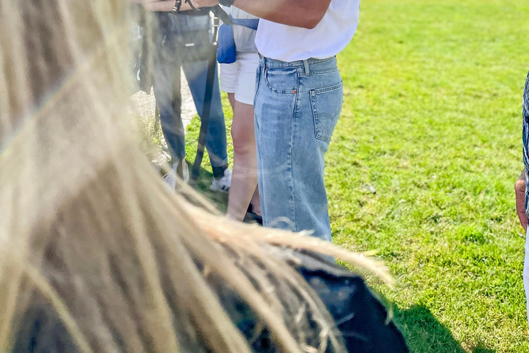 Munich: Historical Walking Tour on the Rise of Hitler