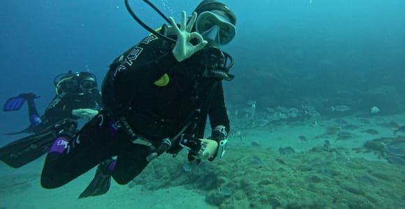 Playa Blanca: Discover Scuba Diving at Flamingo Beach+videos