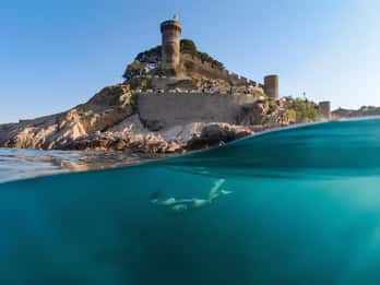 Explore Costa Brava & Tossa de Mar: Trails, snorkel & meal