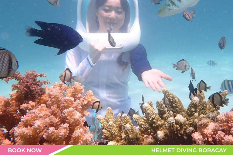 Boracay Helmet Diving Experience: Walk on the Ocean Floor
