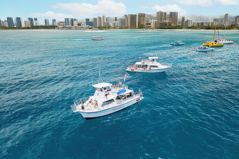 Oahu: Flachwassertauchen am Riff für zertifizierte TaucherOahu: Shallow Reef Scuba Dive für zertifizierte Taucher