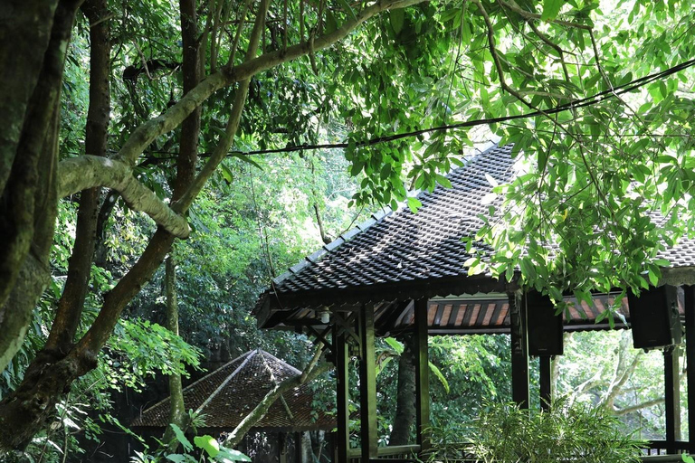 Hanoi: Vietnam Biggest Church or Trang An, Mua Cave & Hoa Lu Hanoi: Ninh Binh, Hoa Lu, Trang An, Mua Cave, Buffet & Cycle