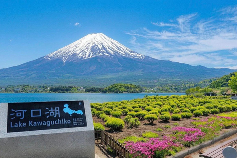 Mt Fuji 8 Spots Customizable Sightseeing Day Tour with Guide Mt Fuji 8 Spots Customizable Sightseeing Day Tour with Guide