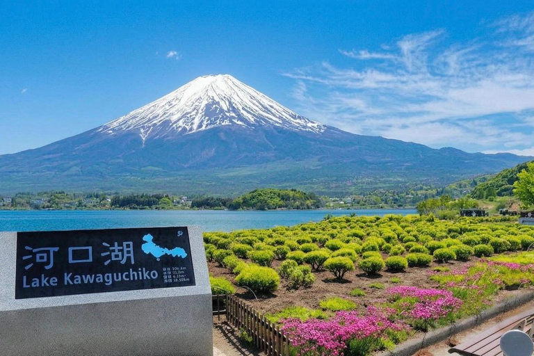 Mt Fuji 8 Spots Customizable Sightseeing Day Tour with Guide Mt Fuji 8 Spots Customizable Sightseeing Day Tour with Guide