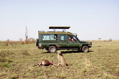 From Nairobi: 3-Day Masai Mara Safari with Accommodation