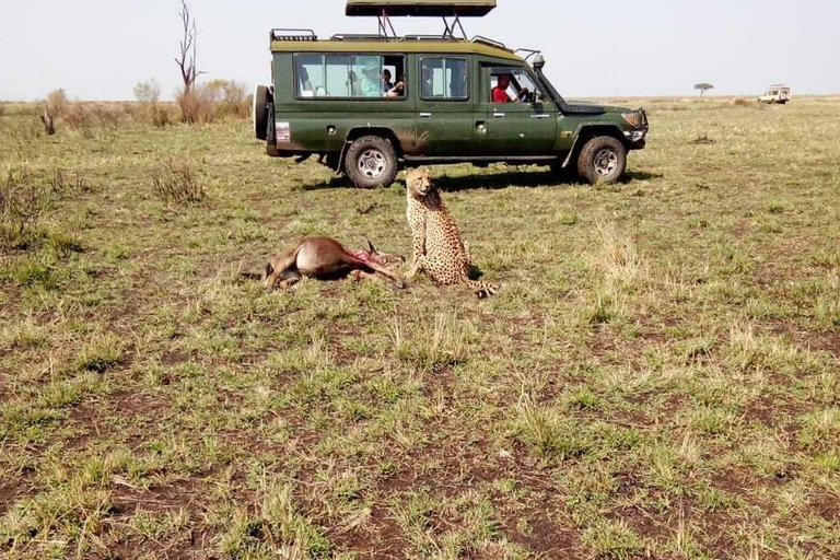 From Nairobi: 3-Day Masai Mara Safari with Accommodation