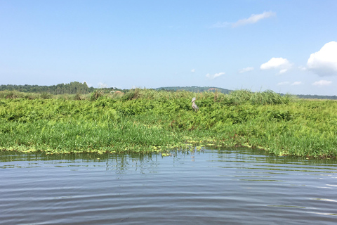 Half day Shoebill Tracking and Equator Island tour Entebbe 1Day shoebill tracking Mabamba and Equator island Entebbe