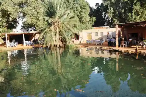 Djerba: odwiedź oazę i źródło gorącej wody na pustyni