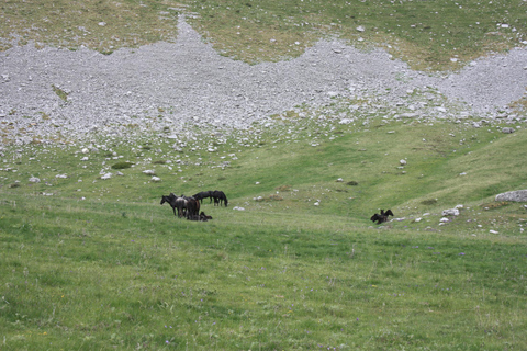 Caminhada guiada até o lago do dragão na montanha Tymfi