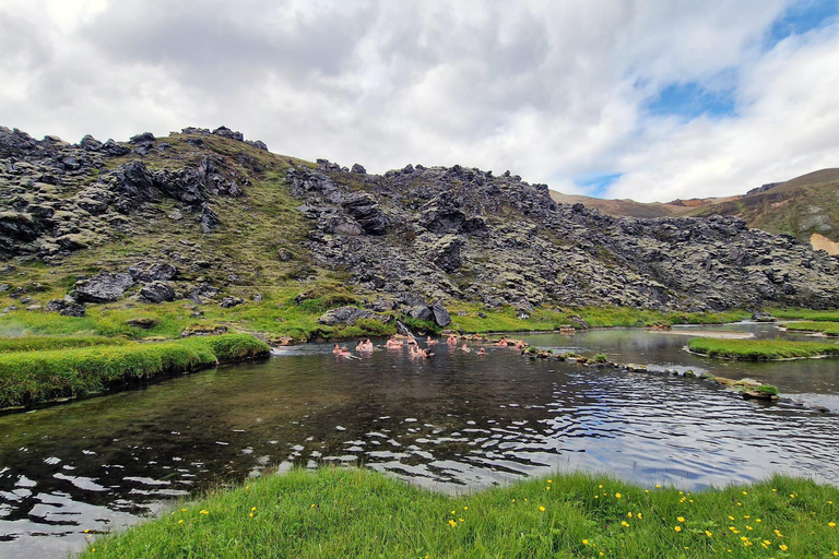 Reykjavík: Landmannalaugar i Dolina Łez w super 4x4