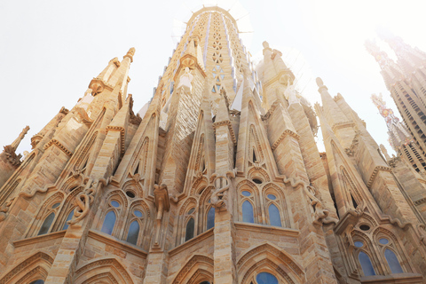 Barcelone : Sagrada Familia visite en petit groupe guidée