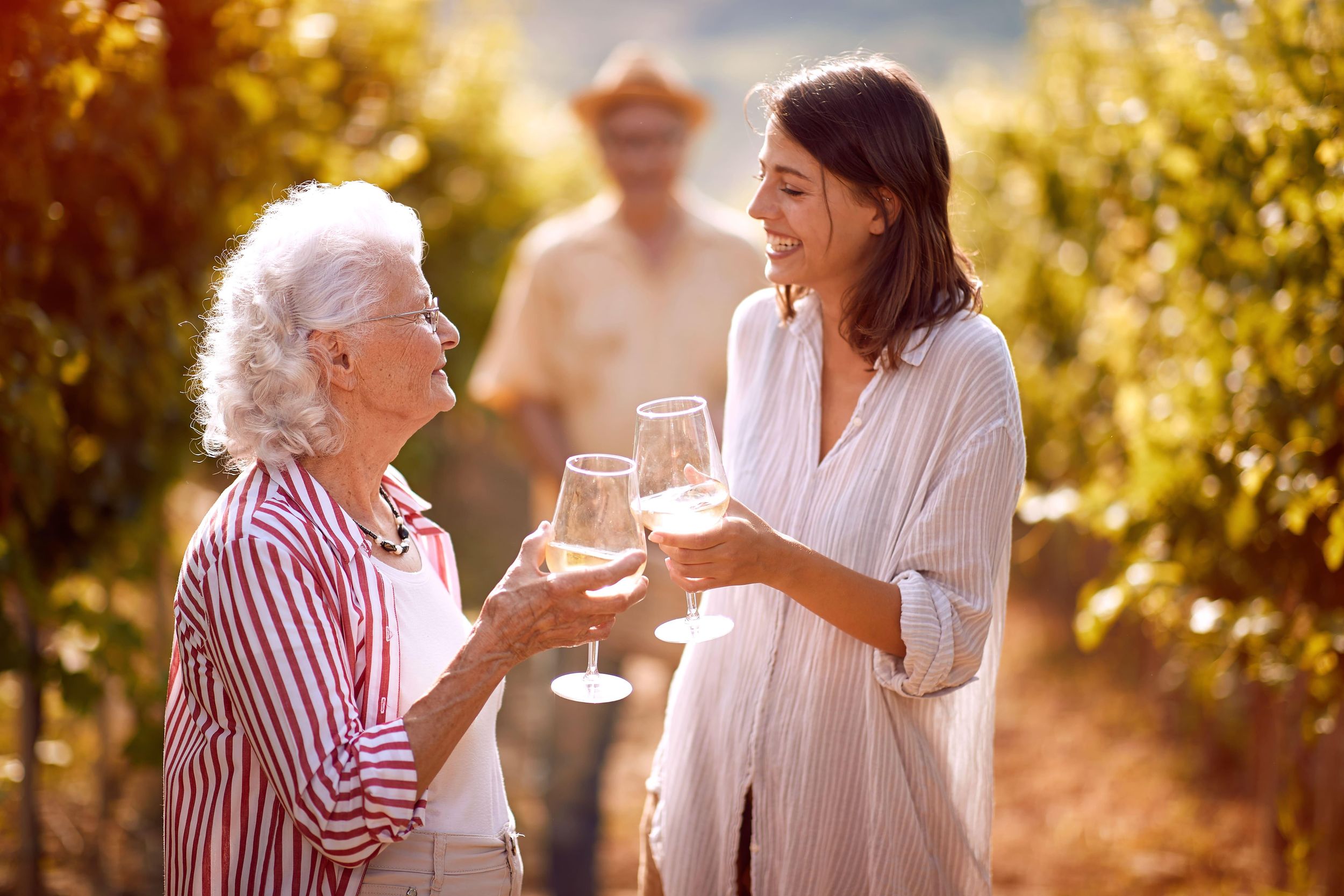 East Sussex: Tour und Verkostung auf dem Weingut Oastbrook Estate
