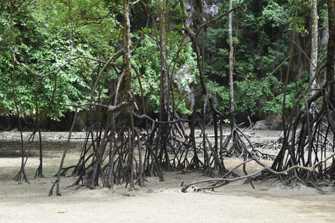 From Phuket: James Bond Island and Canoeing Tour by Big Boat