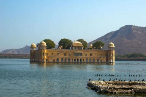 Jaipur: Full-Day Sightseeing Tour By AC Car with Guide