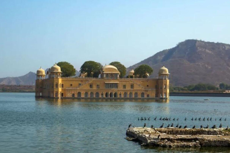 Jaipur: Old & New Jaipur Full day City Tour by Car+ Guide