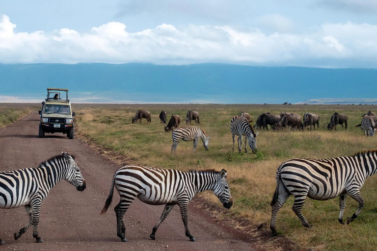 4 jours de safari au camp sauvage du Ngorongoro et au lac Manyara