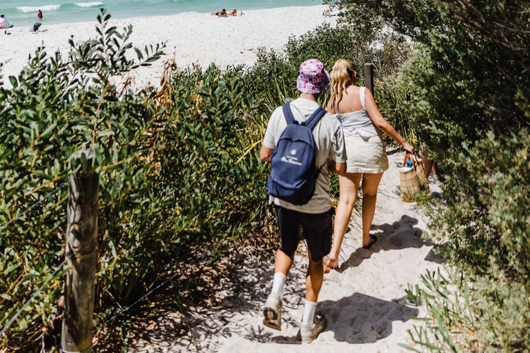 悉尼：杰维斯湾之旅，探访海滩、考拉和袋鼠上午7:30从圣安德鲁大教堂出发。